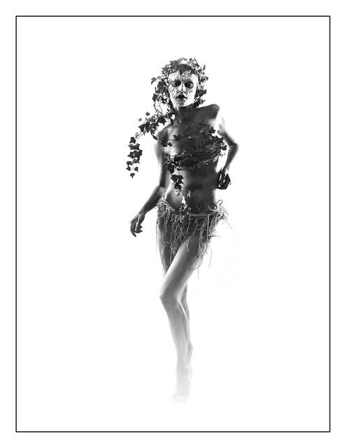 Bild 718: "Ivy Leaves" - 38 Punkte | Foto: © by Mag. Ing. Martina Matuella