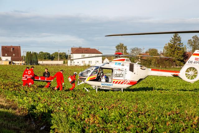 Foto: FOTOKERSCHI.AT/BAYER