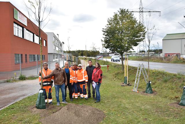 Yüksel Turan, Dominic Hörlezeder, Günther Sieberer, Sarah Großauer, Alfred Brandstetter, Lisa Bichler, Andreas Kloimwieder, Siglinde Malleck bei den neu gepflanzten Bäumen bei der Wirtschaftskammer in Amstetten.