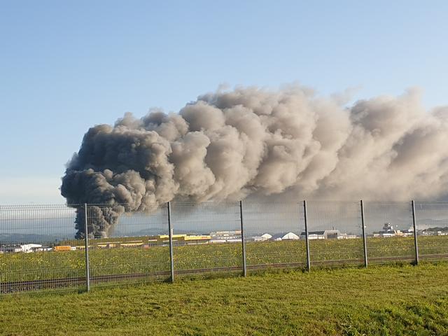 Foto: FOTOKERSCHI.AT/BAYER