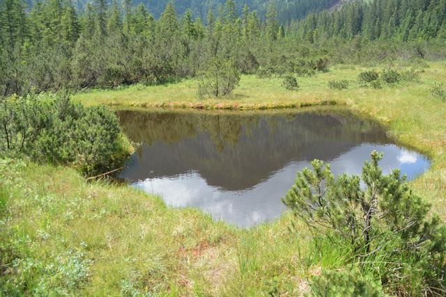 Das Hochmoor Leckermoos befindet sich gleich am Start der Wanderung und bietet Entspannung pur.