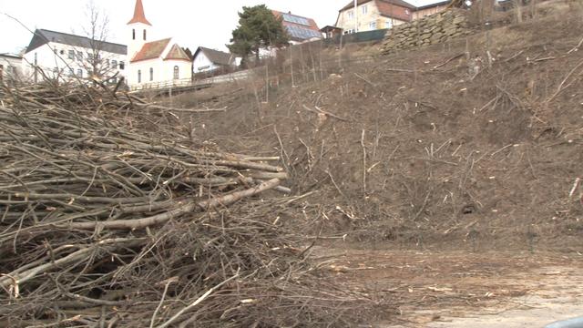 Auch für Rodungen gibt es Kritik aus Brüssel.