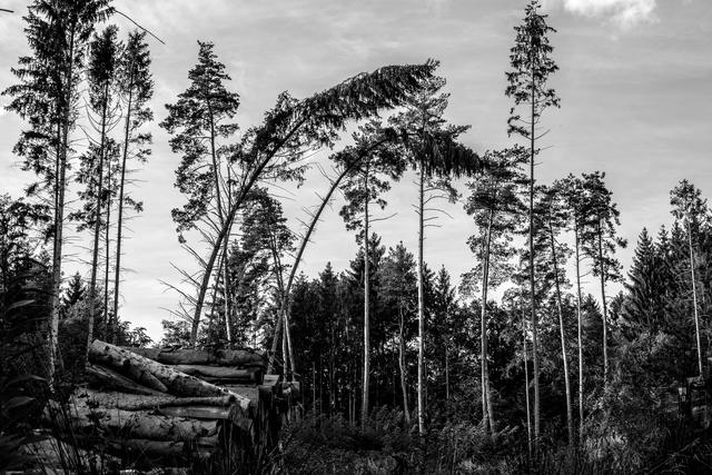 Der Klimawandel drückt sich auch im Südburgenland durch steigende Temperaturen und wachsende Unwetterschäden aus. | Foto: Eva Novakovits