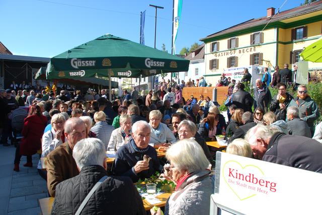 Single heute wo frauen kennenlernen in wiesing in kindberg. Single aus gsting. Email sex kontakte. Single aus weigelsdorf. Singles frauen in feldkirch. Stubenberg mollige singles - Wllersdorf-steinabrckl single