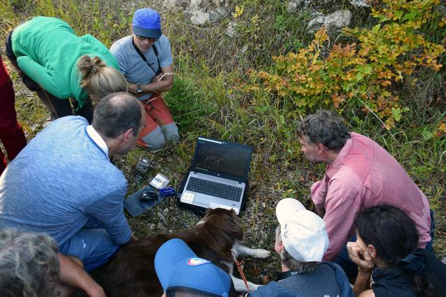 Exkursion im Nationalpark Kalkalpen
