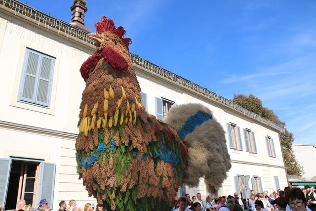 Brauchtumserhaltungsverein Maltschach