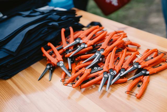 Auch dank der Scheren und der Winzerschürzen der RWA war die Charity-Weinlese ein voller Erfolg. | Foto: www.seidlsoukup.at