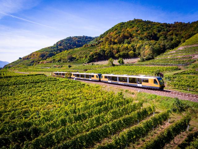 Die Wachaubahn fährt durch den goldenen Herbst.  | Foto: NÖVOG/Kerschbaummayr