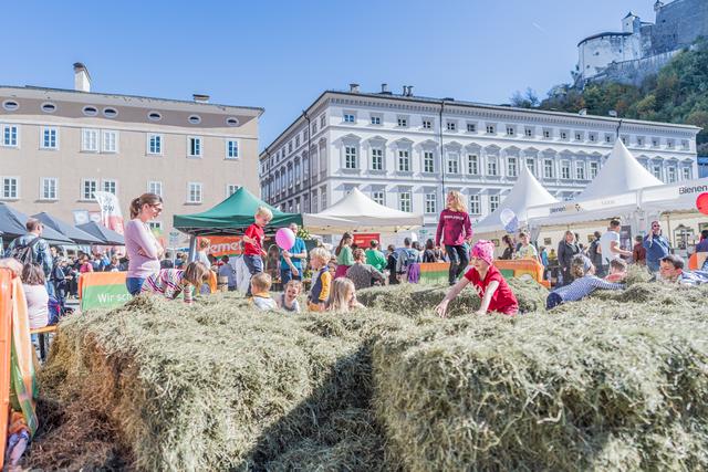 Große, duftende Heuballen auf dem Platz luden zum daran Riechen oder zum Herumtollen ein.  | Foto: Bio Austria/ebihara photograpy