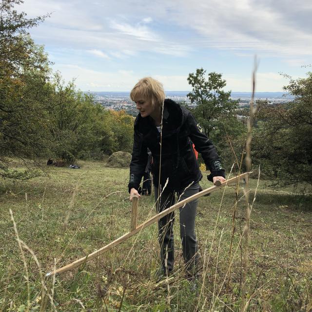 ezirksvorsteherin Silke Kobald beim insektenfreundlichen Mähen der Naturwiese.