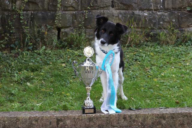 Nanni gibt immer ihr Bestes. Der Pokal ist ihr dabei egal – aber fürs Foto posiert sie immer gerne, denn nachher gibt’s ein Leckerli.