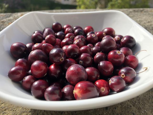 DELORIGIN Künstliche Cranberries Aus Harz - 150 Stück Für Weihnachtsdeko & Mehr