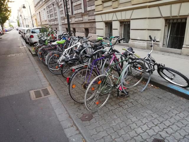 Der Radständer in der Volksfeststraße ist oft hoffnungslos überfüllt. | Foto: privat