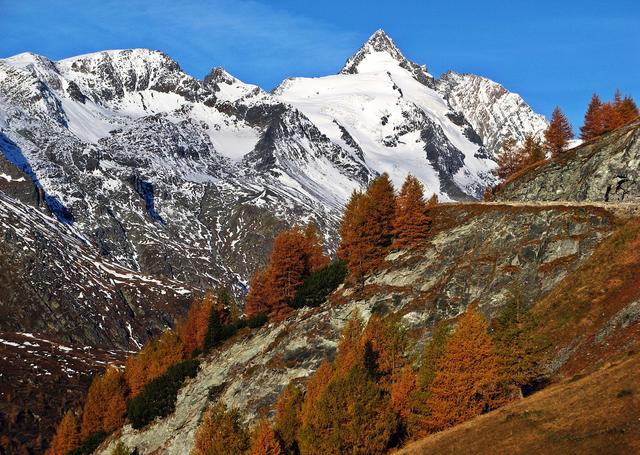 Blick über den Herbstwald entlang der Gletscherstraße hin zum Großglockner (Gipfel Bildmitte). Die Gletscherstraße ist eine Stichstraße der Großglockner Hochalpenstraße von Guttal zur Kaiser-Franz-Josefs-Höhe. | Foto:  © Bernhard Graessel - GROHAG