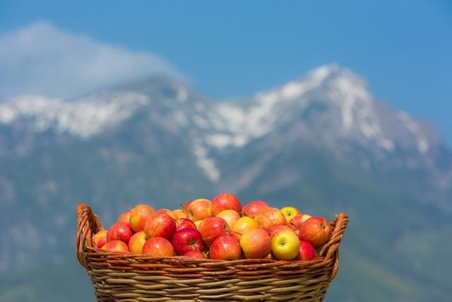 Frisch, saftig und obersteirisch: Ein Apfel aus dem GenussReich!