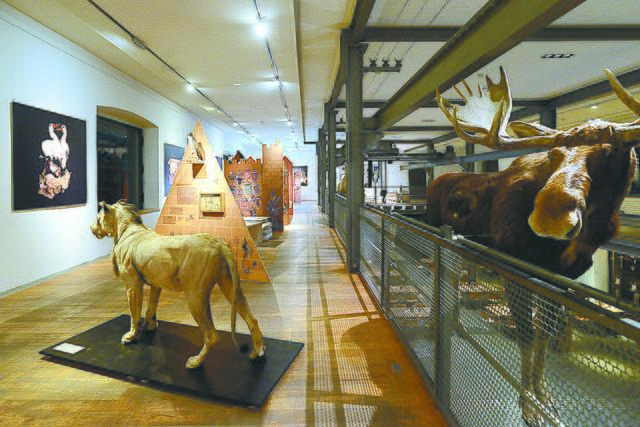 Die aktuelle Sonderausstellung der inatura zum Thema Beziehung - Mensch ist nicht nur attraktiv - ist sehr lehrreich und gibt viele Anregungen.