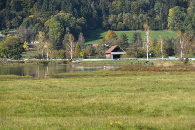 Entlang der Bleistätter Moor Landesstraße wird der begleitende Weg gebaut. Eine Kombination aus Weg und Holzsteg | Foto: Friessnegg