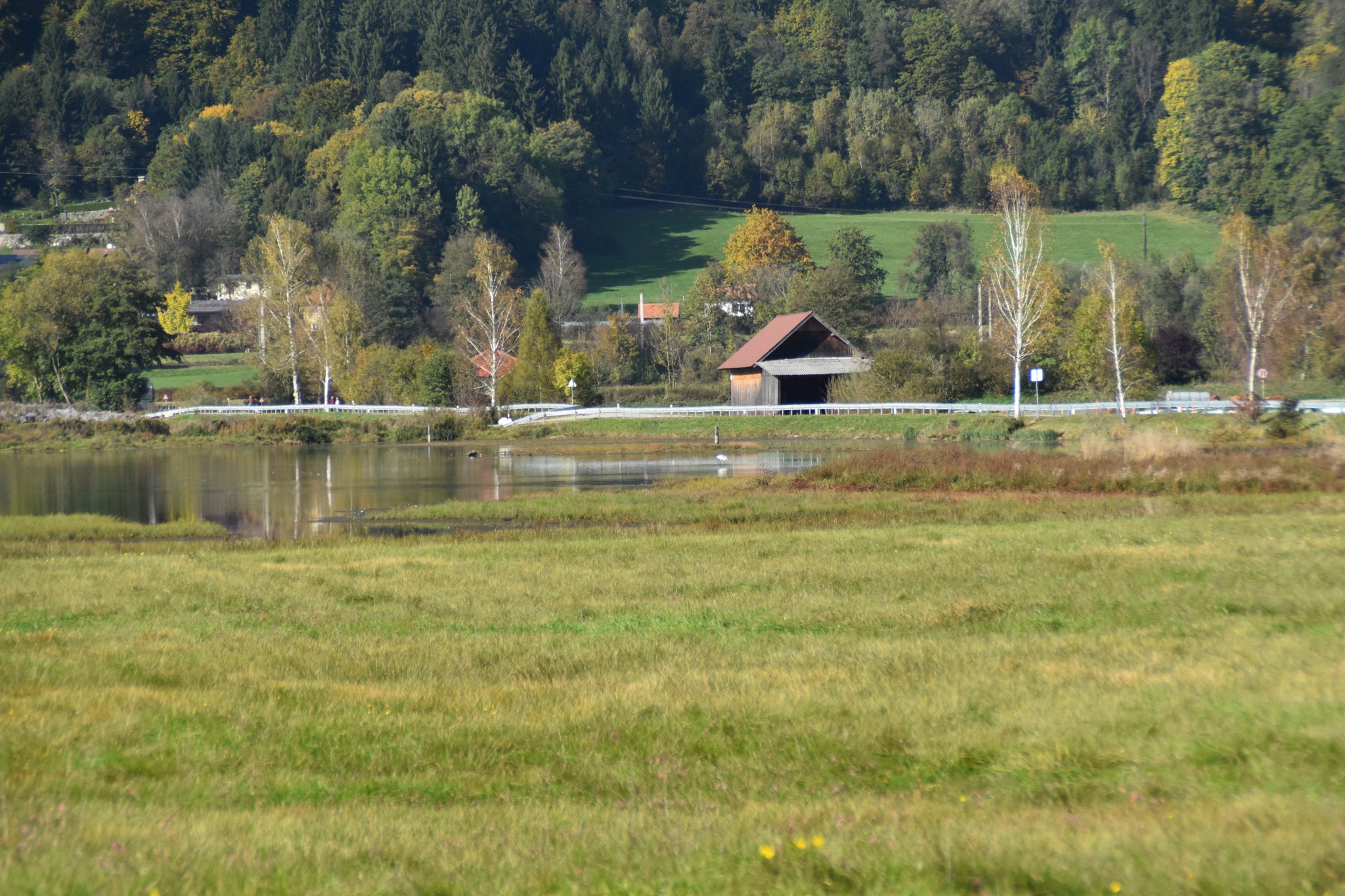 Meine stadt bekanntschaften steindorf am ossiacher see. Partnersuche bezirk steinhaus. Single dating aus schweiggers. Sextreff kaisheim. Ellmau singlespeed. Mattersburg treffen mit frauen, Sex anzeigen in Stadtoldendorf