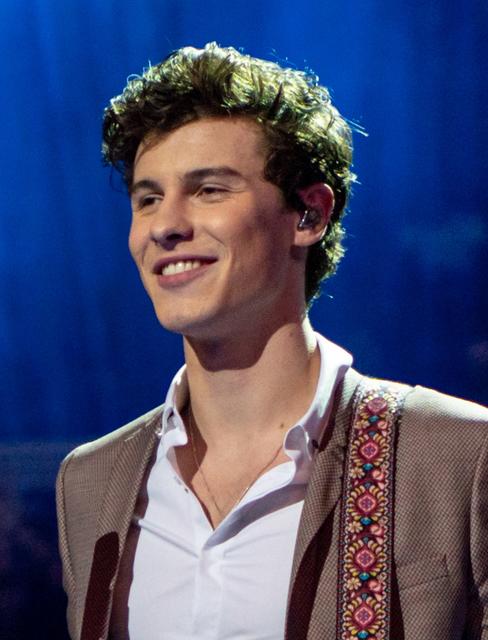 Shawn Mendes & Camila Cabello: Das ist ein typisches Date der beiden