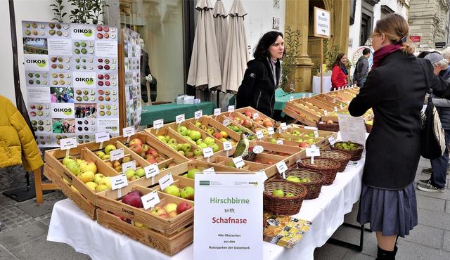 Hirschbirne trifft Schafnase Graz