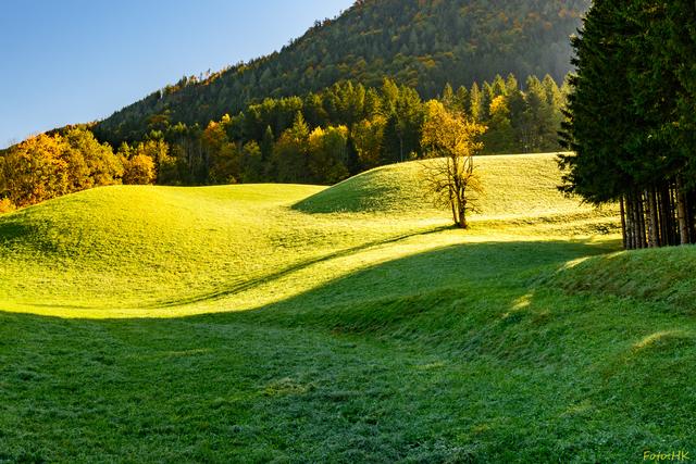 Die tiefstehende Morgensonne zaubert lange Schatten in die Wiesen