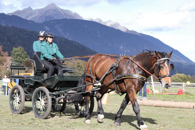 Auch die Einspänner hatten einen schwierigen Parcours zu bewältigen.