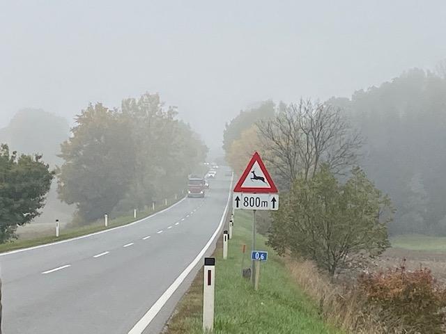 Wildwechsel-Gefahrenstelle an der B39 bei Völtendorf.