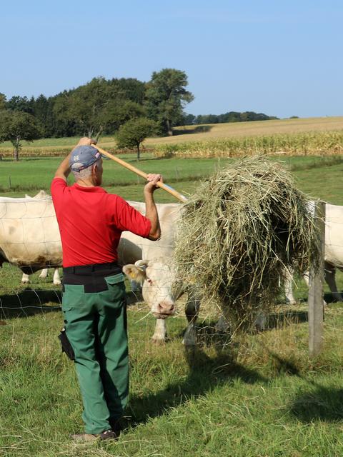 Kleinbetriebe liefern an SPAR: Faire Zusammenarbeit und faire Preise ermöglichen es auch Kleinbetrieben Teil dieses Qualitätsprogramms zu sein.