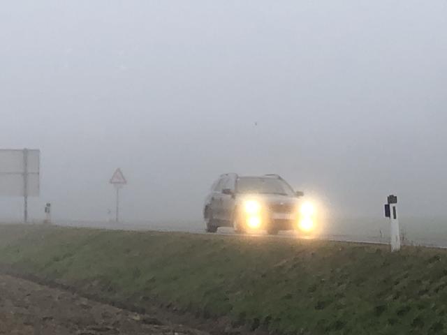 Dichter Nebel, schlechte Sicht und derzeit wieder viele aktive Wildtiere sind ein großer Gefahrenmix.