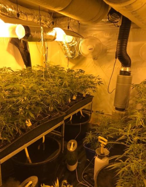 In einem Einfamilienhaus im Bezirk Kufstein wurde eine mehr als professionelle Cannabiszuchtanalage entdeckt, das gesamt Haus wurde dafür in Beschlag genommen.