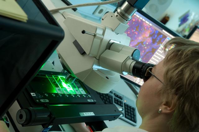 Das Labor für Molekulargenetische Diagnostik (LMGD) am Ordensklinikum Linz bietet österreichweit Expertise