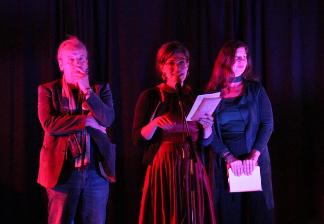 Die Fachjury (von links nach rechts): Zdravko Haderlap, Simone Dueller, Tina Perisutti | Foto: VADA