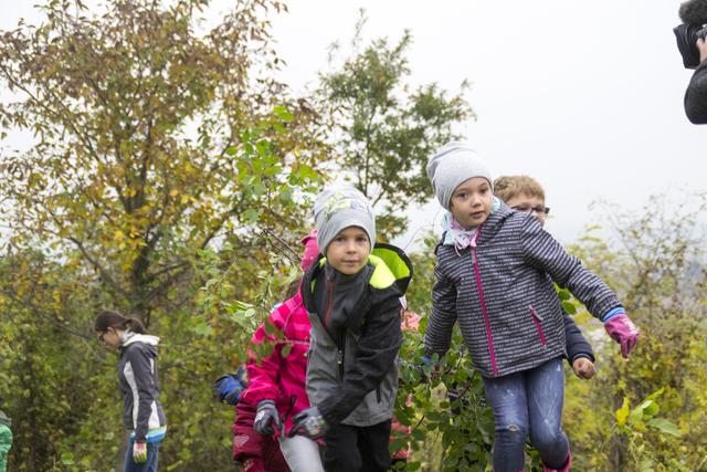 Wir schaffen das! Die Kinder legten sich ordentlich ins Zeug