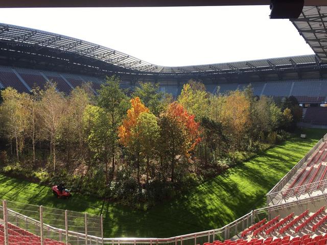 Bereits herbstlich gefärbt zeigen sich die Bäume im Klagenfurter Stadion | Foto: KK