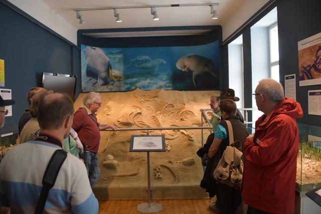 Ausstellung im Stadtmuseum Bad Vöslau