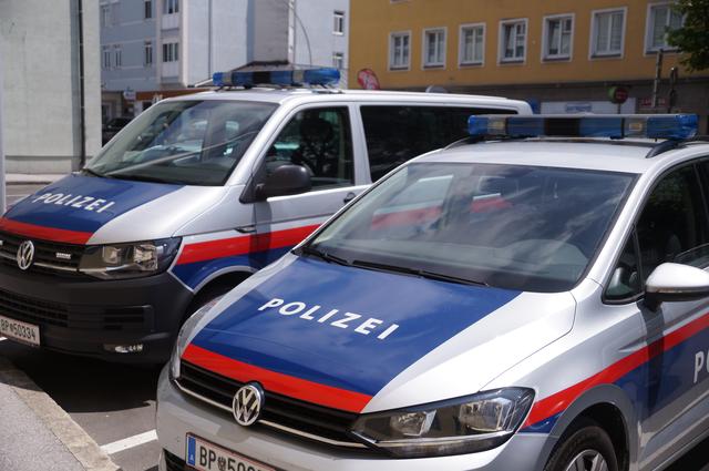 Dei Burschen sind geständig und werden auf freiem Fuß angezeigt.