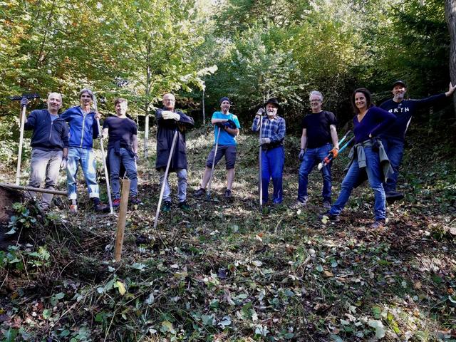 SCHWAZER SILBERWALD - Heil- und Gesundheitswald 
"Fleißige Silberwaldhelfer" 