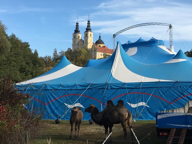 Der Zirkus schlägt seine Zelte noch bis Sonntag in Mariatrost auf.