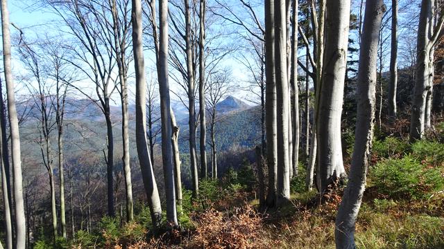 ... mit Blick zum Westgrat des Gaissteins ...