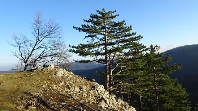 Während des steilen Aufstiegs kann man sich am Gaisstein (974 m) ...