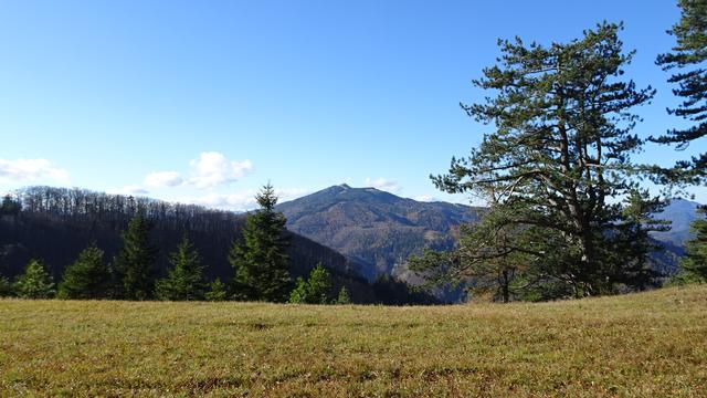... und zum bei Wintersportlern als Naturschneeparadies beliebten Unterberg.