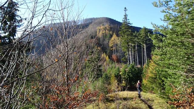Erstes Etappenziel ist die Enzianhütte am Kieneck ...