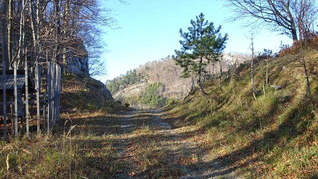 Der Rückweg verläuft über den Atzsattel und mündet schließlich in die Bergwiese Himmelsreith, ... im Hintergrund sieht man bereits den Gaisstein (Geißstein).
