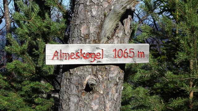 ... bis zum Almeskogel auf 1065 m.