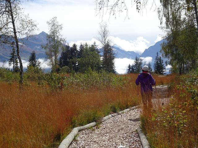 Herbst im Wasenmoos (Oktober 2019)