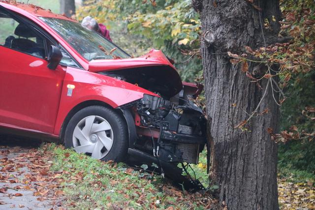 Lenker krachte in Sitzenberg gegen den Kastanienbaum.