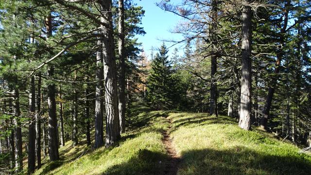 Anschließend führt ein leicht begehbarer Kammweg ...