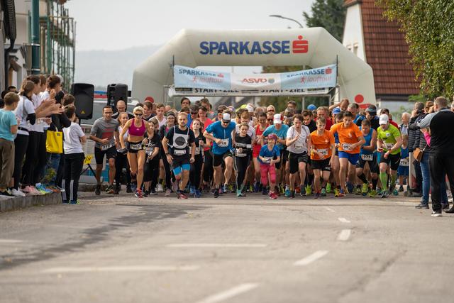 290 große und kleine Läufer gingen an den Start.