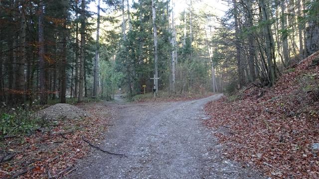 KG Furth a.d. Triesting, Bezirk Baden (NÖ): Gutensteiner Alpen - Über