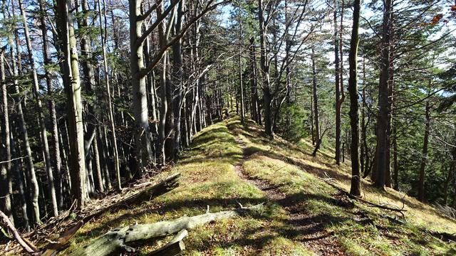 Danach geht's auf diesem schönen Kammweg weiter ...
